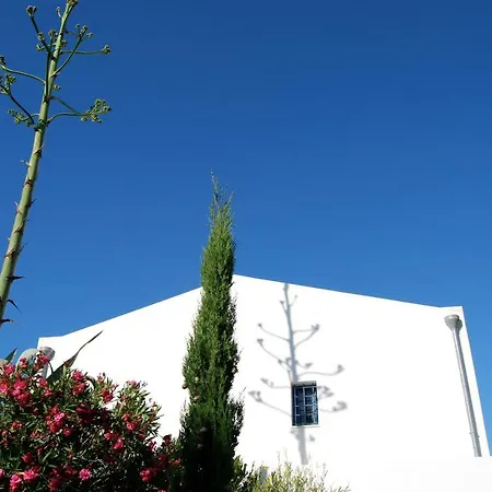 ヴィラ Casa Zabbara *